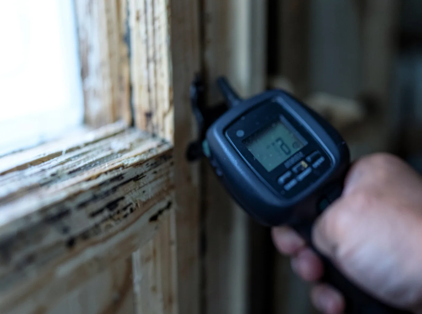 Moisture Inspection And Documentation in Oldtown, ID